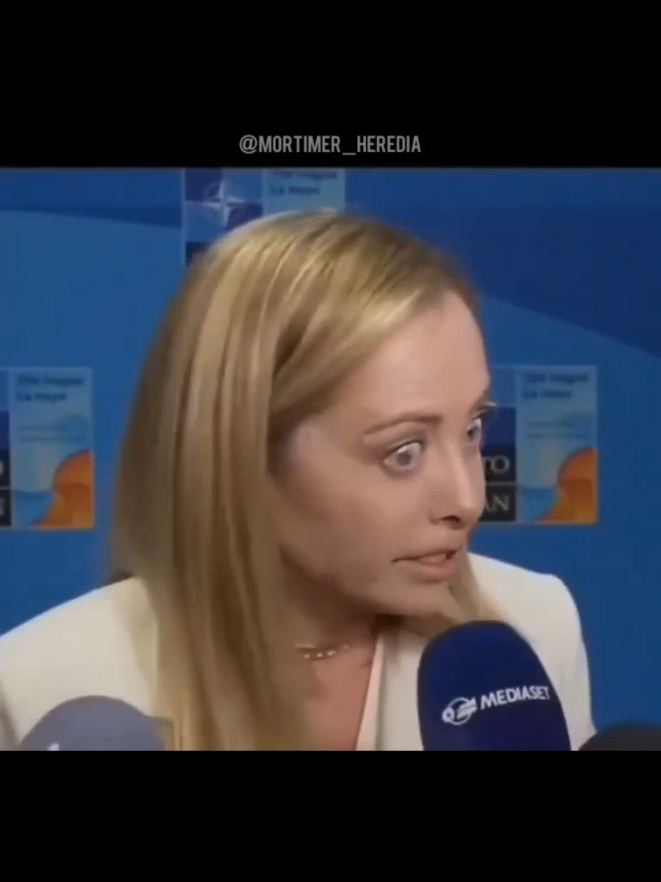 Feliz jawelin  #ia #humor #meloni #trump #xijinping