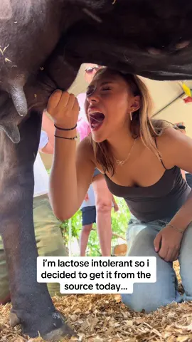 it was warmed up perfectly #cowmilk #cowmilking😁😁 #cow #lactoseintolerant #fypシ 