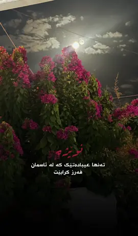 #قورئان_ئارامی_دڵان🕋📿 #ئیسلام_ڕێگەی_ژیانە #مامۆستامحمدملافایەق_شارەزووری #ئاینی_ئیسلام #ئەکتیفم_سفر_تکایە_لایک_کومێنت 