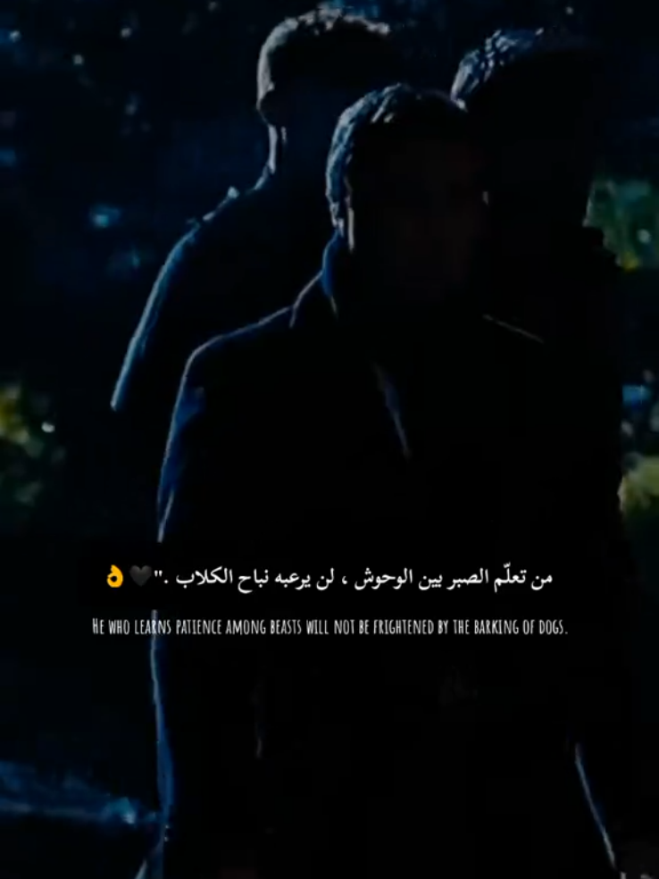 #مراد_الروح👑 #مراد_علمدار #وادي_الذئاب #kvp #fyp 