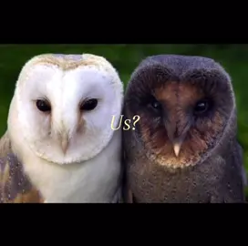 Me and her @lili! ❀ ˃̶͈◡˂̶͈ mwah #iloveyou #imissyou #lili #bsf #viral I love this song