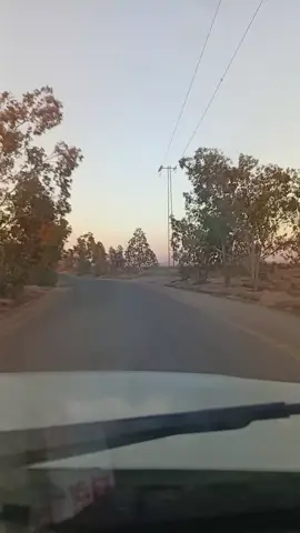 #قفصة_البية🇹🇳 #قفصة❤تونس❤الجزائر❤المغرب❤❤❤❤❤❤ #قفصة #gafsa 