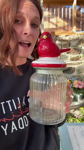 My plants have competition for cutest decor! #holidaydecor #gardengirl #holidayhome #qvcloyaltyprogram #qvcfinds 