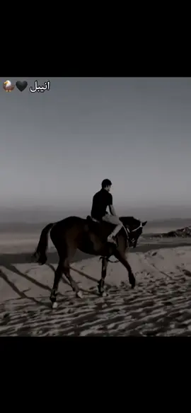 مشاء الله عل بطلتنه انيبل 🖤🦅#خيل_وخياله🐎 #خيل #قطر🇶🇦 