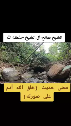 معنى حديث :(خلق الله آدم على صورته) الشيخ صالح آل الشيخ حفظه الله  #معنى #حديث #sunnah #fyp #tiktok 
