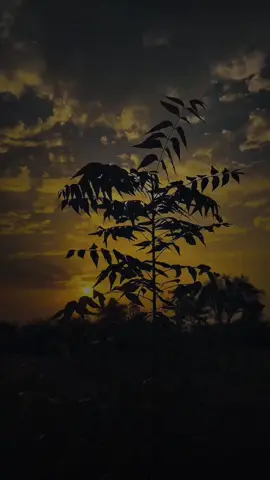 #CapCut #plzviral🥺🙏🙏foryoupage_💞🕋🕋🕋🕋🤲🥰❤️‍ #60k❤️ 