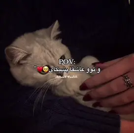 balee ah🤭 #zakho_duhok_hawler_slemani_akre #aa 