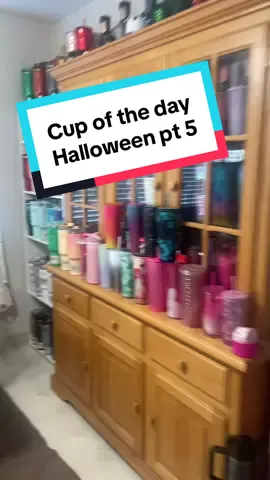 Cup of the day is protour frost as a 👻. I think I need to get a another dark lid since I always borrow chromas lid. #stanley #StanleyCup #cupoftheday #cupcollector #collection 