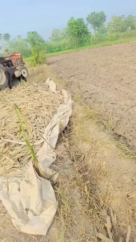 #👿 #ARSLAN HATTAR #👿 #👿 #👿 