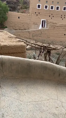 القصيده ف شعب والفيد ف شعب بس لغبت ادور ماحصلت الا ذي😂🌷#تصويري📸 #اليمن_الجوف_خب_والشعف🇾🇪🇾🇪 #هشتاقاتي_الترند_المشهور #مالي_خلق_احط_هاشتاقات🧢 #الشعب_الصيني_ماله_حل😂😂 