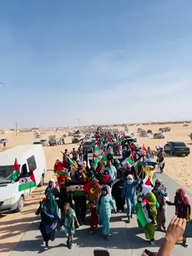 #الشعب_الصيني_ماله_حل😂😂 