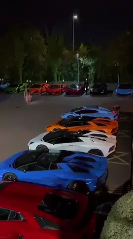 Bunch of skittles attending a wedding in Hainault @TheWillowsLondon  #london #lamborghini #bugatti #fyp #rich 