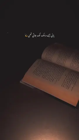 Yani jisy dimak lagh jati thy wo mein tha-💫 | Paid Repost Avalaible • #urdushayari #urdushayari #udaboleños #viralvideo @TikTok 