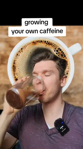 I hope you enjoyed the video. if you want more homesteading info, USEFUL TREES is the name of my new book & l cover almost 200 trees across many different climates. The hardcover, paperback, and ebook are all now available on Amazon If you're interested, you can use the link in my bio. #homestead #offgrid #selfsufficient  #earthship  #permaculture 