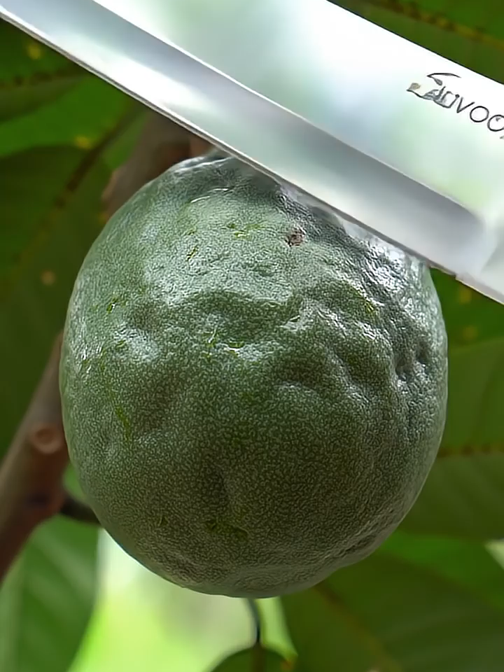 won’t believe what happened to this fruit 🍊😱”). #shorts #viral #trending