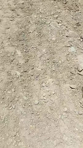 penertiban pangoni???🤣🤣🤣#opratorexcavator #gorontalopunya #helperexcavator 