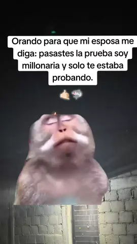 #memes #esposos #miesposa #humor #r 