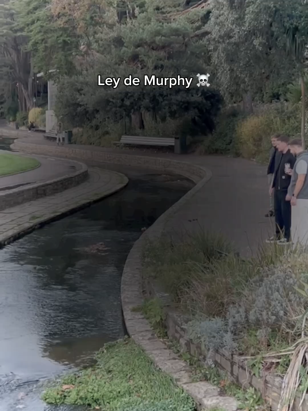 #funk #brazilianphonk #viralllllll #aura #fypシ゚