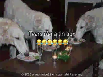 I ♥️ #borzoi #armydreamers #lyrics #edit #foryoupage 