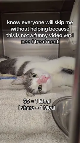 know everyone will skip me without helping because this is ,106 not a funny video yet I need treatment #dog #viralreels #viralvideos #views_video #views 