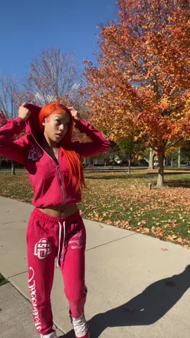 What’s ya favorite thing to do in the fall ? 🍂#angelserenity 