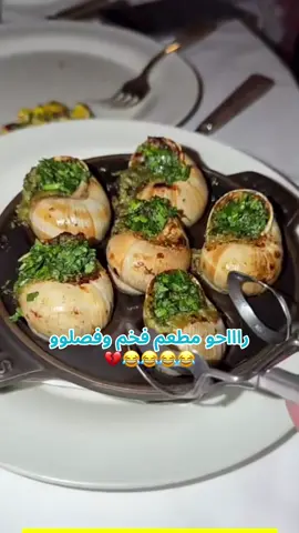 ضحكت كيمو ههههههههههههههههههههههههههههههههههههههههههههههههههههههههههههههههههههههههه @ابو حصه 🐰 @صالح السلماني #ابوصالح_ابوحصه #كيمو 