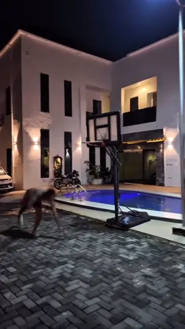 I buy & sell all crypto currency ✈️ (Bulk & Small quantities) 📦 I Buy all kinds of Giftcards🎁🛍️ (Amazon, eBay, Amex, Tunes, Steam.... etc) fast Confirmation for all my digital payments tags 🏷️  Ⓜ️ My payment speed is very very fast.