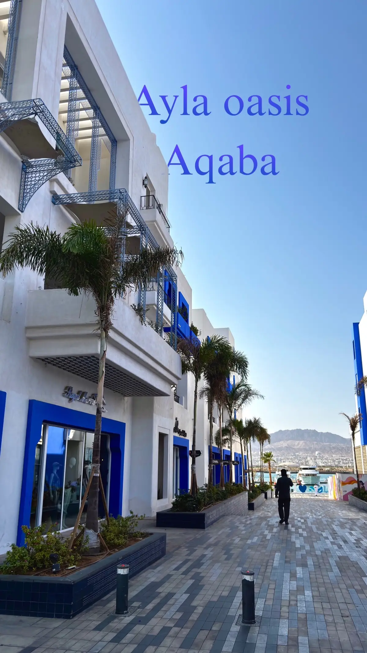 واحة ايلة العقبة 🇯🇴🌊 #الاردن #العقبة #ايلة #aqaba #jordan 