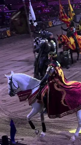 Nothing crazy 🤷🏻‍♂️ - - - - - #king #medievaltiktok #viral #trending 