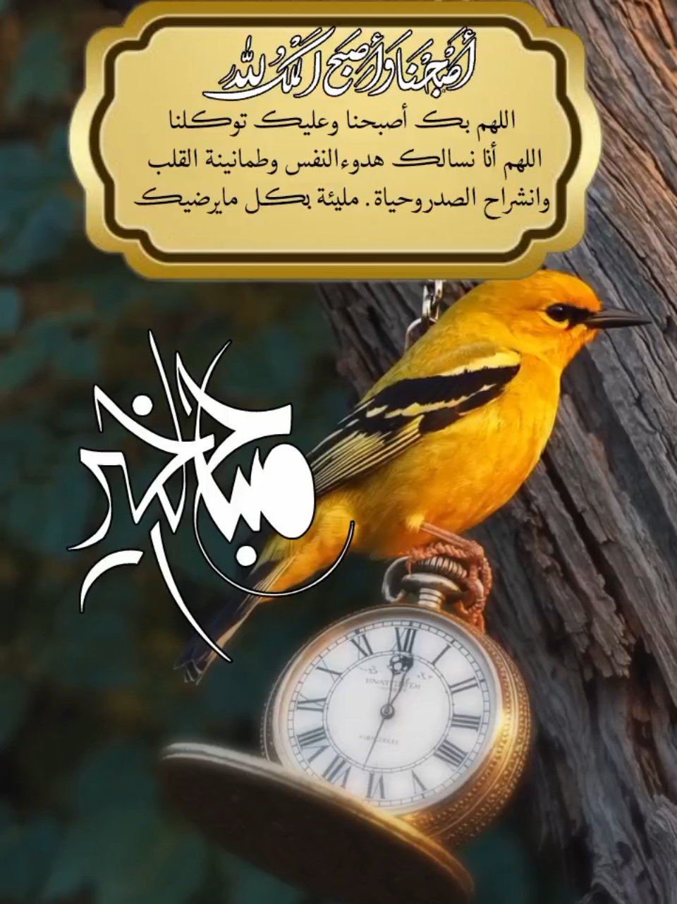 اصبحنا_واصبح_الملك_لله #صباح_الخير #foryoupage #foryou ##foryo #هدوءالليل 