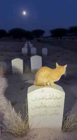 #الله #الله_اكبر 