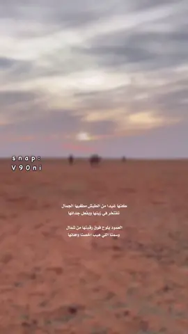 #عبيه_الروقي #اكسبلور #عتيبه #التيك 