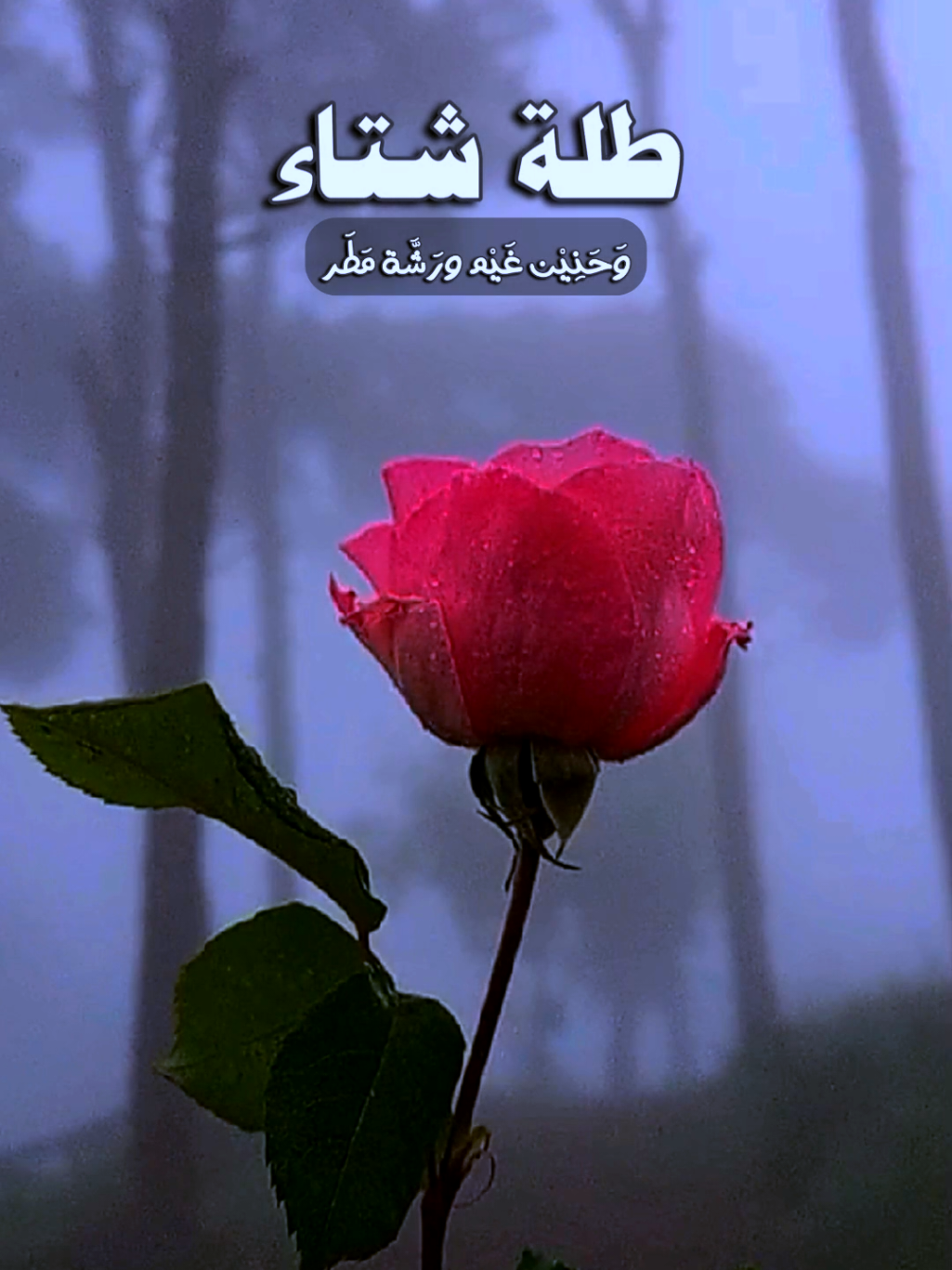 الشتاء زان جوه 🌧️⛈️ #CapCut #الشتاء #الشتاء_وشبة_النار #reels #lavendr81 