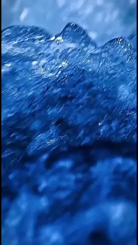 #creatorsearchinsights #محمد_الفقيه #سورة #karimwce16p  #القرآن_الكريم #ارح_سمعك_بالقران #القرآن_الكريم_راحه_سمعك_القرآن💙🎧 #القارئ_محمد_الفقيه #محمد_الفقيه #الشيخ_محمد_الفقيه #karimwce16p #تلاوة_خاشعة #سوره_الكهف 