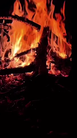 ###سوريا_تركيا_العراق_السعودية_الكويت #الأم #