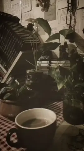 دەوەستم.... #کەسم #تەڵعەت_تاهیر✍️🌻 #account #slemani #ئەکتیڤبن🥀🖤ـہہـ٨ــہ #foryou #کتێب #hawler_slemani_dhok_karkuk_hallabja #fypage #بەختیار_عەلی #viral #فۆلۆم_بکەن #مهربون🖤 #foryoupage #هەولێر_سلێمانی_دەهۆک_ڕانیه_کەرکوک #active #acc #farhadpirbal #for 