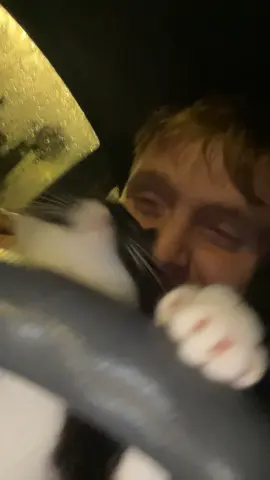 #chat#au#volant#wtf? 