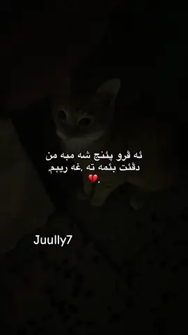 12:20#juully7 #fyppppppppppppppppppppppp #duhok_zaxo_amedi_semel_akre 