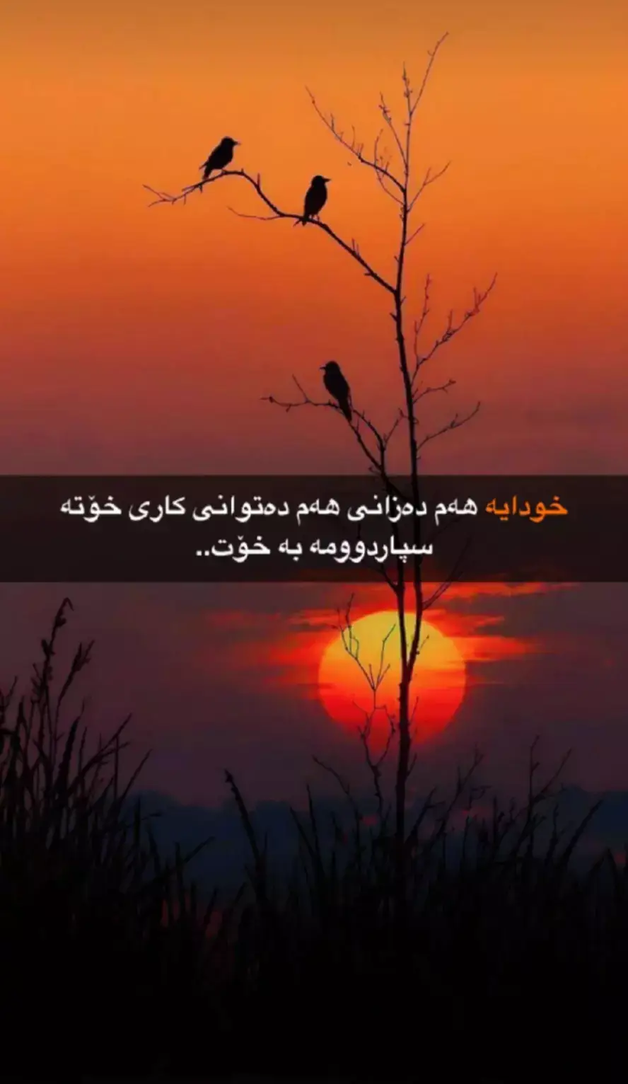 #ڕانیە_سلێمانی_کەرکوک_هەولێر_قەڵادزێ #دهوك_زاخو_سليماني_ئاكري_ئامیدی_هولیر #ppppppppppppppppppppppp #foryou #ppppppppppppppppppppppp 
