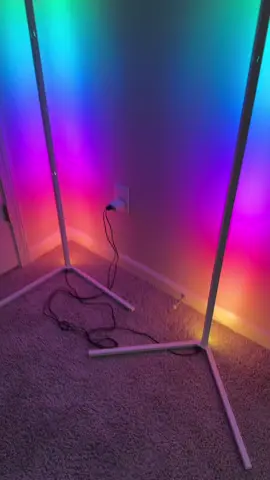 Check out these awesome floor lamps that are available in the TikTok shop! #Lamp #Lamps #Lighting #Lights #Streaming 