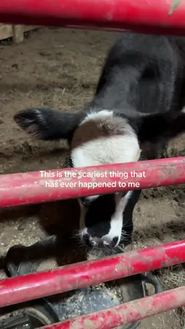 #appalachianmountains #appalachianfolklore #hauntedappalachia 