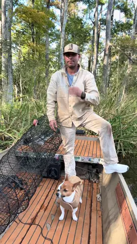 Me and Pierre ready to hit the Sadie Hawkins dance #jackrussellterrier #degenerate #badbadpierrebrown #whitegirlmusic 