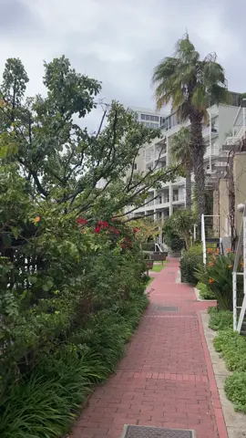 #explore #fyp #foryou 