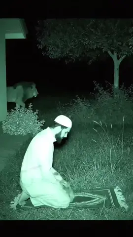 Даже звери боятся Аллаха#ислам #хадис #факты #намаз #сунна 