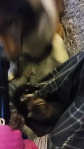 It is with a heavy heart that my sweet Mika has crossed over rainbow bridge! It’s like as if she waited for me to come home to have one last cuddle. She passed away peacefully in my arms. To you they are just animals but to me they are part of my heart. There are pros and cons of being an animal lover but just hate when their time has come to an end. Mommy is gonna miss you sweet girl! Thank you for bringing me joy when I first moved into the farm house. You really made me feel at home the first few months of living in my own place. The past 8 years of your life has been such a joy! My heart is broken 🥺💔