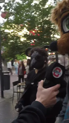 gran lugar de #chismes el #barriochino aguante los #furros #furry #argentina 