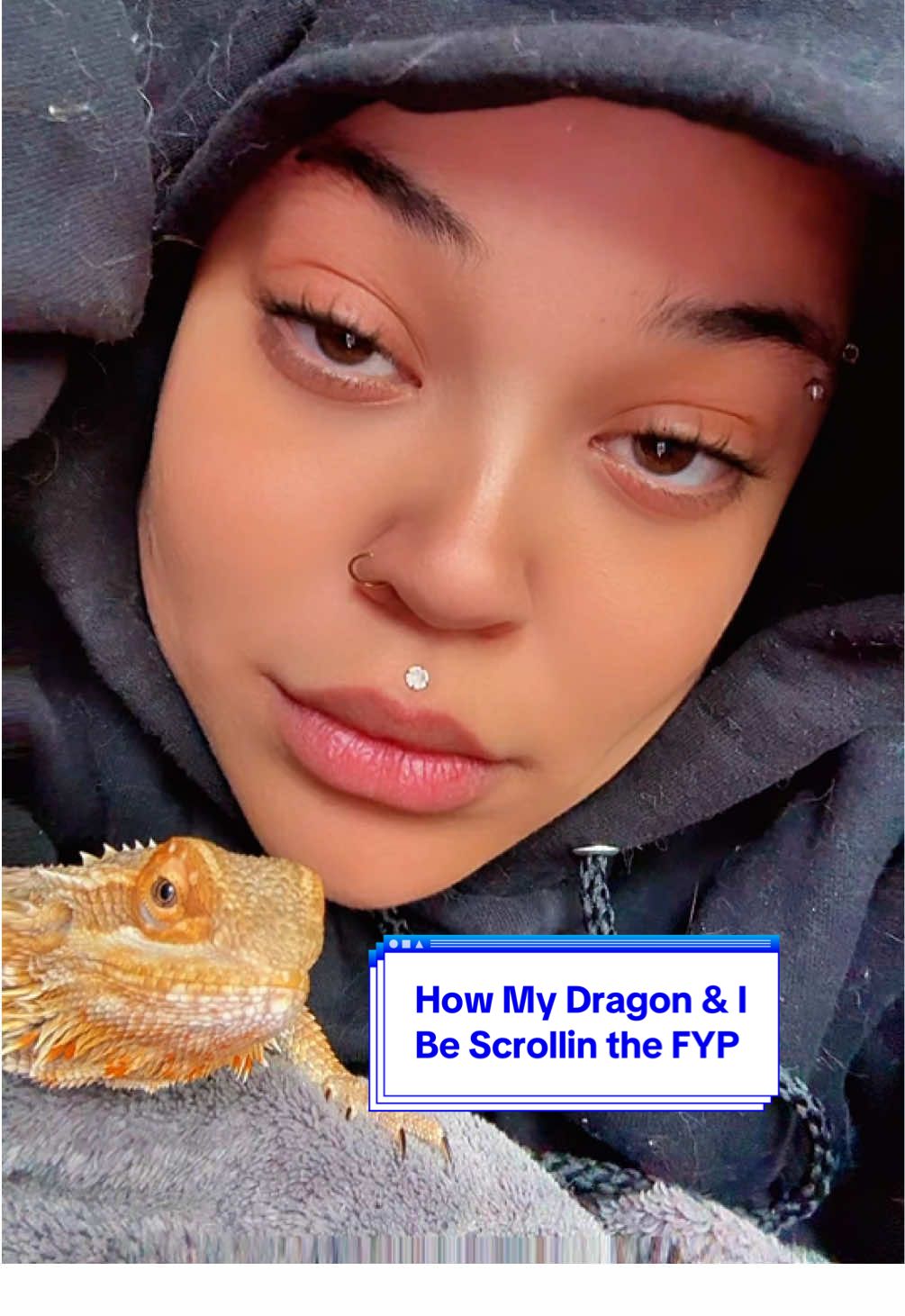 #fyp #beardeddragon #beardeddragonsoftiktok #judgementlizard 