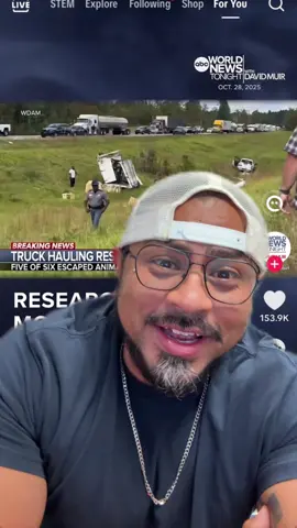 Search monkeys escaped after an 18-wheeler crashed while they were being transported in a Mississippi State highway. 🐒 