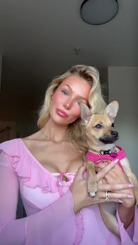 Elle and bruiser woods everybody #ellewoods #legallyblonde #halloween #halloweencostume 