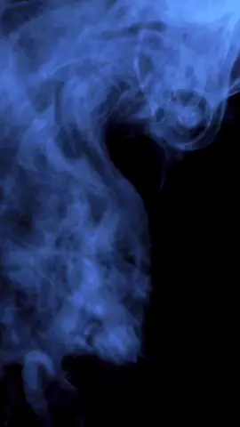 #🖤🥀 #505 #برج_العذراء♍💁‍♂️  #●▬▬▬🌹⃣⃢💛▬▬▬▬▬●  #🌹❤️ 